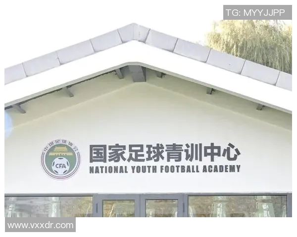 足球青训体系如何有效输送人才助力中国足球未来发展